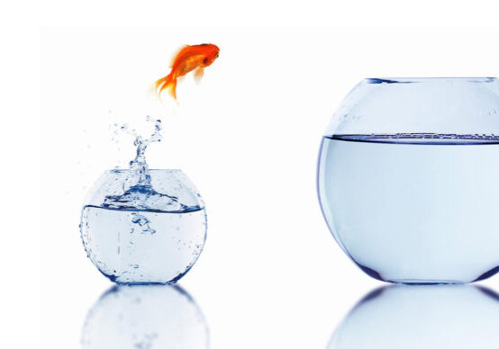 Harpreet puri - New hiring agents